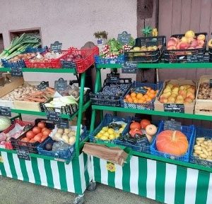 Petit panier de légumes 5 euros